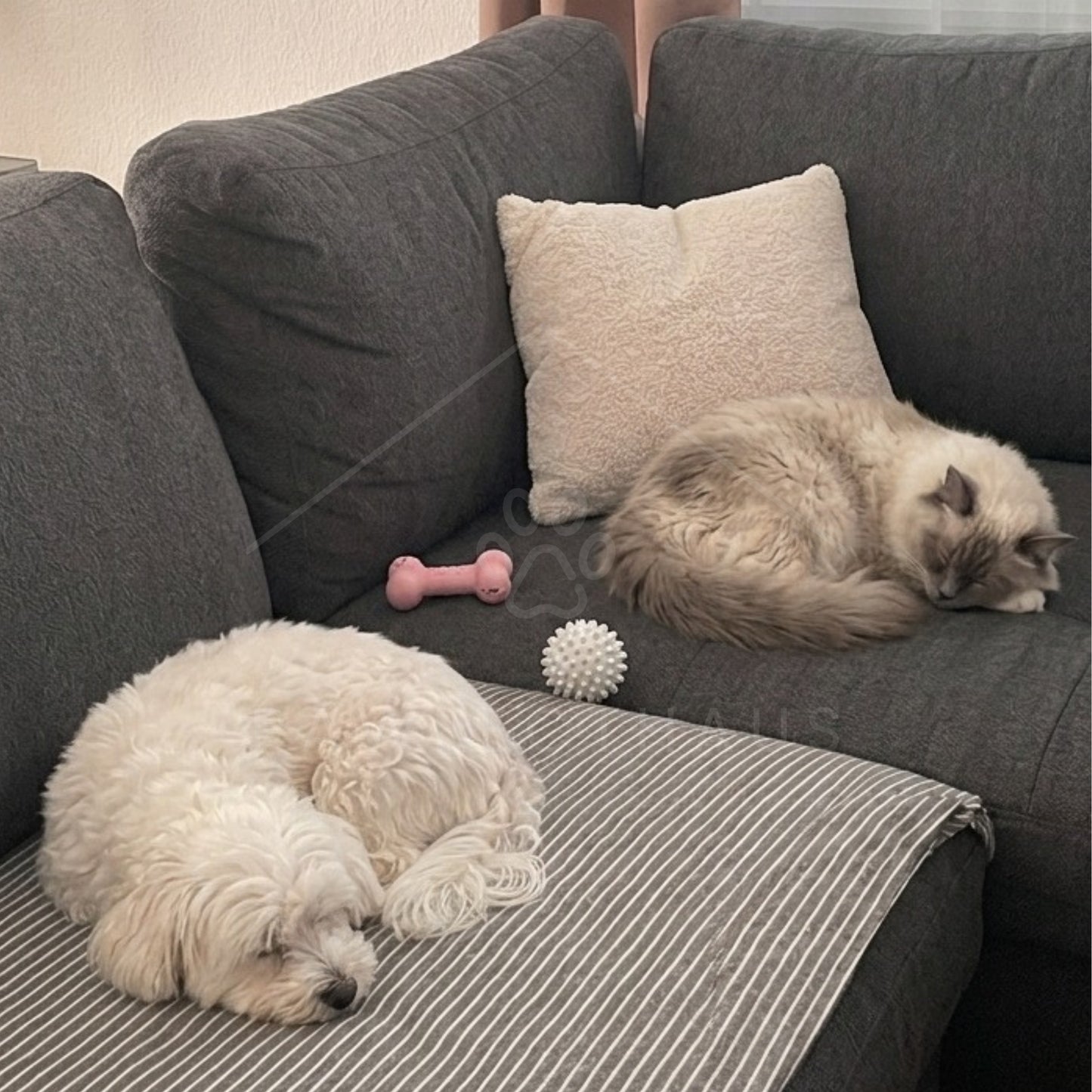 PawfectHaus Fur Control Duo